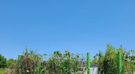 울산시 울주군 삼남읍 - 교동리 진장마을 메인페이지 미리보기