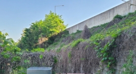 울산시 울주군 청량읍 - 율리 망해마을 메인페이지 미리보기