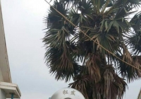 염소소독기 메인페이지 미리보기